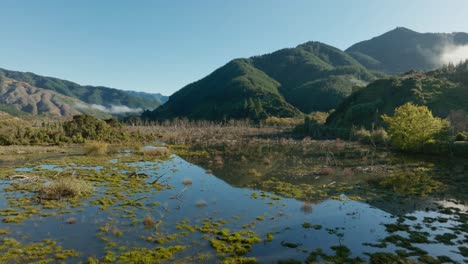 Luftflug-über-überflutete-Sumpfige-Feuchtgebiete-Mit-Einheimischer-Flora-Und-Fauna,-Umgeben-Von-Schroffen-Bergen-In-Te-Paranui,-Südinsel-Neuseelands,-Aotearoa