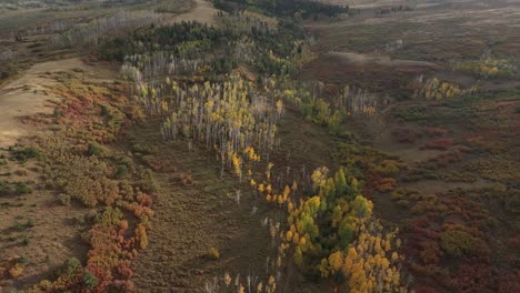Sobrevuelo-De-Drones-Sobre-El-Bosque-Nativo-En-Las-Montañas-De-Colorado