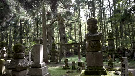 Grandes-Lápidas-Desgastadas-En-El-Cementerio-De-Okunoin-En-Koyasan-Con-árboles-Forestales-En-Segundo-Plano.