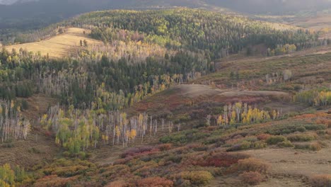 Relaxing-and-calm-scene-of-native-forest-during-Fall-season-in-Colorado,-drone-pull-back