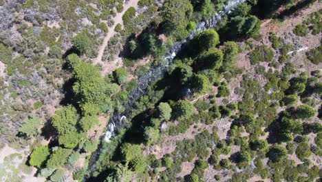 Aerial-top-view-drone-shot-of-a-scenic-river-channel-meandering-through-a-lush-pine-tree-forest,-as-the-drone-gracefully-follows-the-tranquil-flow,-in-Lassen-National-Forest,-California