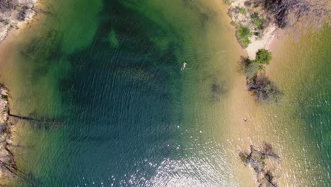 Fesselnde-Luftaufnahmen-Zeigen-Ein-Felsiges-Ufer-Mit-Trockenen-Bäumen,-Das-Einen-Kristallblauen-See-Im-Whiskeytown-Reservoir-In-Kalifornien-Umgibt