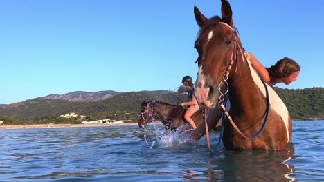 Little-girl-tries-to-get-on-the-back-of-horse-in-sea-water-in-summer-season