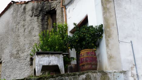 Pintoresca-Casa-De-Viñedos-Con-Limonero,-Bragança-Portugal