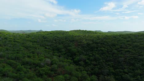 Drohne-Erhebt-Sich-über-Dichten-Wald-In-Westpunt-Curacao,-Während-Der-Wolkenschatten-Vorbeizieht