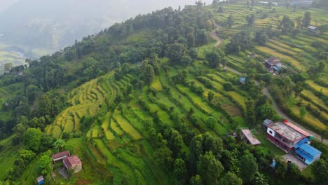 Terrassenfelder-Entlang-Des-Pokhara-Nepal-Tals