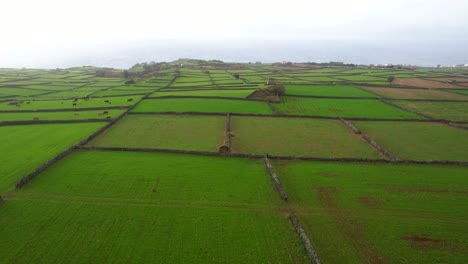 Aerial-parallax-reveals-lush-green-farmlands-divided-by-volcanic-basalt-in-Terceira,-Azores