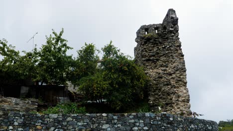 Torre-Del-Castillo-En-Ruinas-En-Medio-De-La-Vegetación-De-Vinais,-Bragança,-Portugal