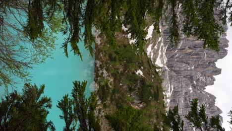 Lago-di-Sorapis,-vibrant-blue-alpine-lake,-through-a-pine-forest
