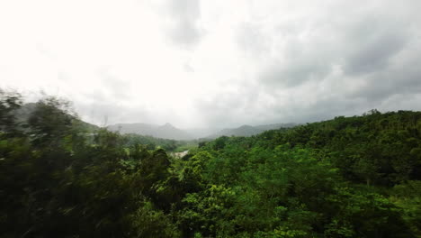 Tiefflug-über-Dem-Dichten-Blätterdach-Des-Puerto-Rico-Dschungels