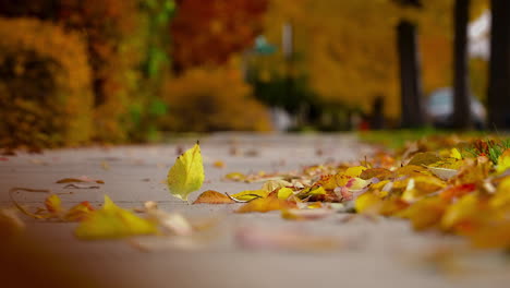 Autumnal-Leaves-Falling-Over-Sidewalk-On-A-Windy-Day