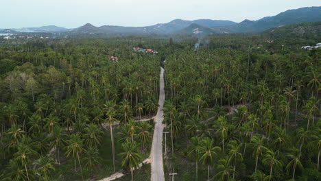 Aerial-flying-backwards-of-tropical-paradise,-place-with-many-palm-trees