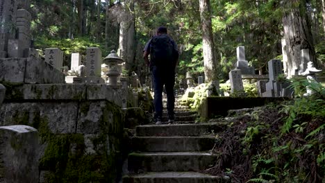 Solo-Male-Hiking-Up-Stairs-At-Calm-Serene-Forest-Cemetery