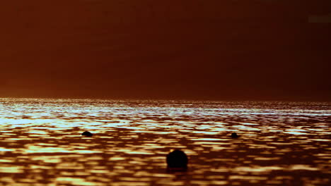 Blurred-golden-sea-at-sunset,-sun-reflects-and-shines-on-the-waves-with-bokeh,-illuminating-the-golden-sea