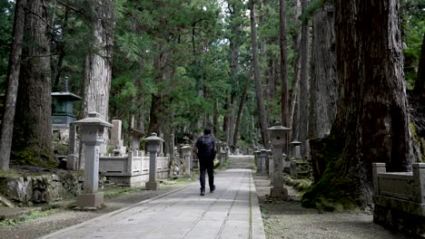 Solo-Male-Backpacker-Walking-Along-Path-Through-Zen-Forest-Cemetery-In-Japan