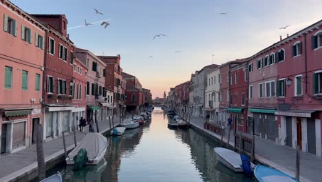 Seagulls-Soaring-Above-the-Canals-of-Murano-Island,-Venice,-Italy