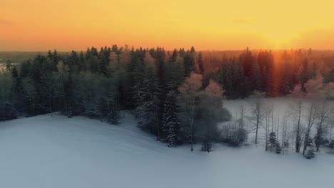 A-Smooth-Panoramic-Shot-Of-A-Forest-Landscape-Covered-In-Snow-At-The-Golden-Hour
