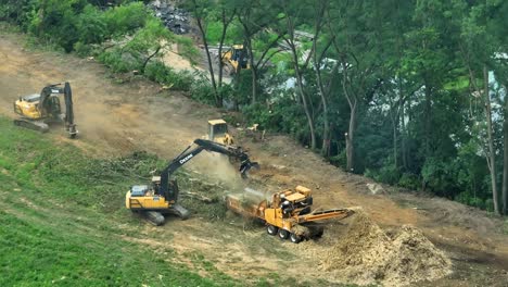 Heavy-machinery-cutting-down-trees