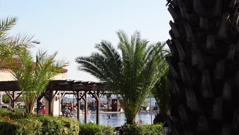 Statische-Aufnahme-Eines-Resorts-Mit-Pool-Und-Palmen-Mit-Gehenden-Menschen-Im-Hintergrund