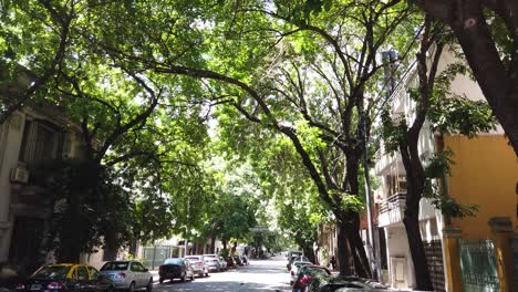 Panoramic-Landscape-with-Lush-Trees-and-Greenery-in-Buenos-Aires-City-Streets-Palermo-Neighborhood