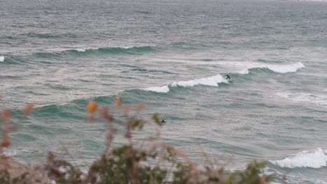 Ein-Surfer-Fängt-Eine-Welle-In-Israel-Mit-Wilden-Pflanzen-Im-Vordergrund
