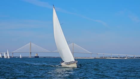 White-blank-sail-boat-sailing-on-a-river-in-a-windy-day-on-Cooper-River,-Charleston
