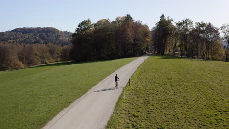Radfahrer-Fahren-An-Einem-Sonnigen-Tag-Auf-Einer-Landstraße-In-Der-Nähe-Von-Wiesen-Und-Wäldern,-Luftaufnahme