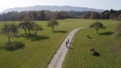 Two-cyclists-enjoying-a-ride-along-the-road-across-pastures-in-an-autumn,-aerial