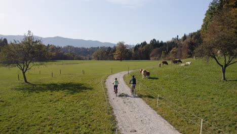 Two-people-cycle,-enjoying-the-countryside,-peaks,-and-meadow-with-cattle,-drone