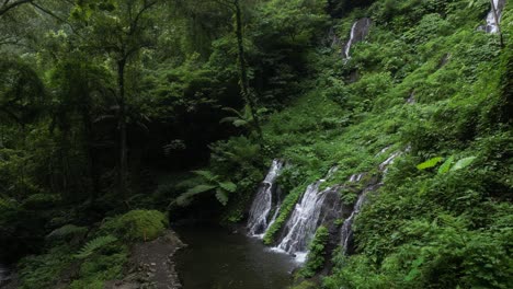 Durch-Die-Bäume-Eines-Balinesischen-Dschungels-Schlängeln,-Mit-Einem-Entfernten-Wasserfall,-Aus-Der-Luft