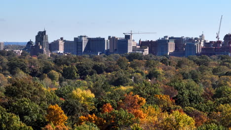 Aerial-of-Central-West-End-skyline-over-trees-in-Forest-Park-with-a-slow-pan-to-reveal-the-downtown-St