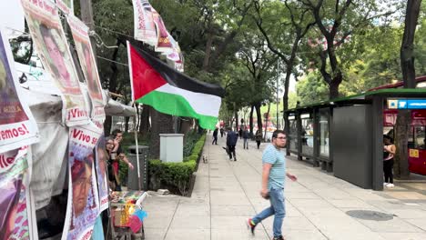 Zeitlupenaufnahme-Der-Palästinensischen-Flagge-In-Mexiko-Stadt