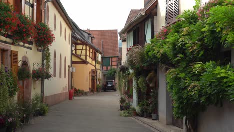 Fachwerkhäuser-Von-Bergheim-Sind-Mit-Pflanzen-Geschmückt