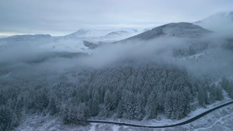 Kiefernwald-Im-Winter-Mit-Flucht-In-Richtung-Straße-Mit-Einem-Einzigen-Auto-Und-Schneebedeckten-Nebligen-Bergen-In-Der-Ferne