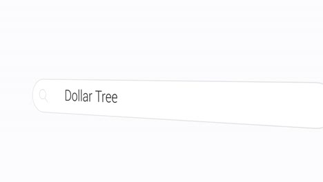 Searching-Dollar-Tree-on-the-Search-Engine