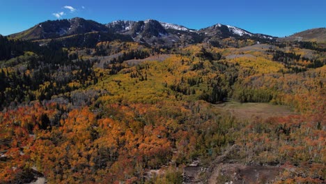 A-rising-aerial-shot-of-a-snowcapped-mountain-with-yellow-aspen-trees-during-autumn-in-Utah
