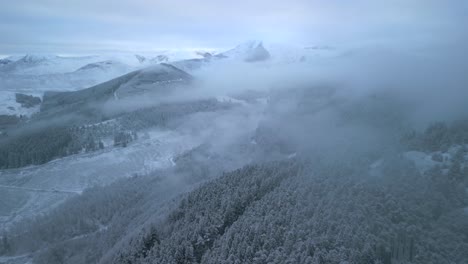 Winterliche-Berglandschaft-Mit-Rückwärtsflug,-Der-Einen-Kiefernwaldhang-Mit-Wolken-Und-Nebel-Freigibt