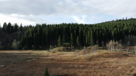 Cabaña-De-Madera-En-Un-Bosque-Verde-En-Indre-Fosen,-Noruega---Disparo-De-Drones