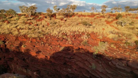 Aerial-view-of-woman-walking-along-steep-cliffs-at-Joffre-Gorge-amphitheatre-at-Karijini-National-Park-during-golden-sunset
