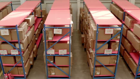 Labeled-cardboard-boxes-lining-up-on-shelves-at-a-Chinese-warehouse-facility