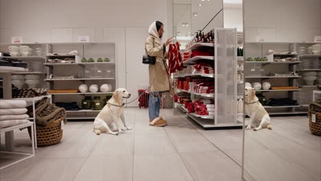 Fashionable-girl-and-dog-shopping-together-for-Christmas-and-choosing-gifts-at-a-pet-friendly-home-decor-store