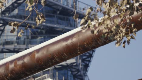 Detail-of-a-rusted-pipe-with-a-tree-branch-in-the-foreground-and-a-modern-building-with-lots-of-windows-in-the-background
