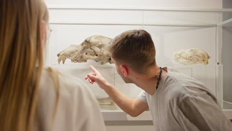 Jóvenes-Observando-Esqueletos-De-Animales-En-El-Museo-De-Historia-Natural,-Toma-Manual.