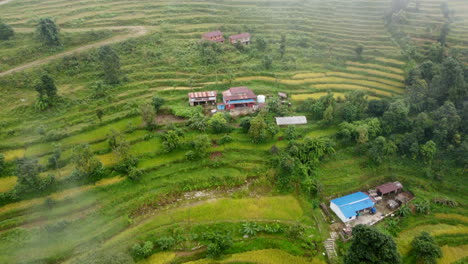 Rice-paddies-and-rice-fields-on-a-rainy-day-in-a-village-in-Nepal