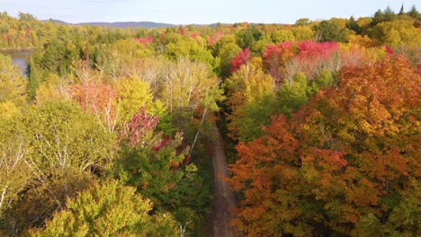 Drone-approaching-the-autumnal-treetops-of-the-La-Vérendrye-Wildlife-Reserve-forest-located-in-Montréal,-Québec,-Canada