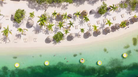Drone-top-down-static-view-of-nearly-empty-beach-with-swimmers,-stunning-clear-water,-and-palm-tree-shadows