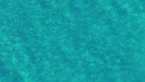 Sun-light-ripples-refract-dancing-in-clear-turquoise-blue-ocean-water-with-sandy-bottom