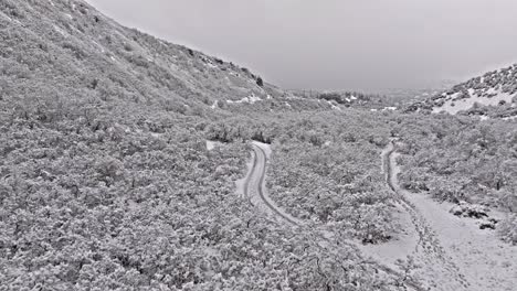 Panoramic-aerial-overview-of-snow-covered-canyon-with-fresh-tire-and-hiking-tracks-on-trails-between-trees