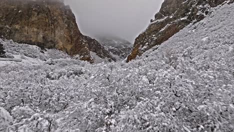 Snow-covered-shrubs-and-brush-like-trees-with-epic-jagged-quartz-cliffs-of-Rock-Canyon,-Provo-Utah