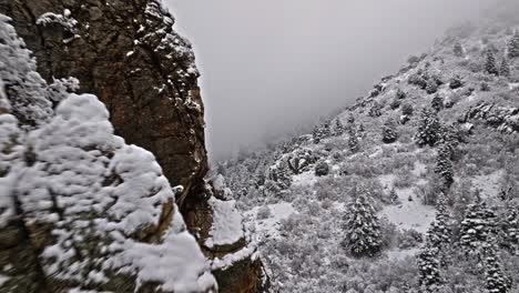 Drone-flies-past-sharp-weathered-rocky-cliff-covered-in-snow-to-reveal-white-and-grey-forest-in-canyon